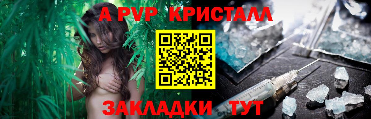 A-PVP СК Дальнегорск