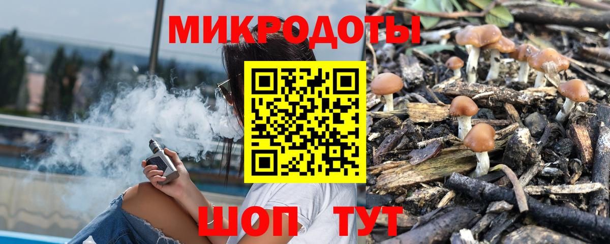 купить наркоту  Галлюциногенные грибы Psilocybine cubensis  Вход с VPN  Дальнегорск 